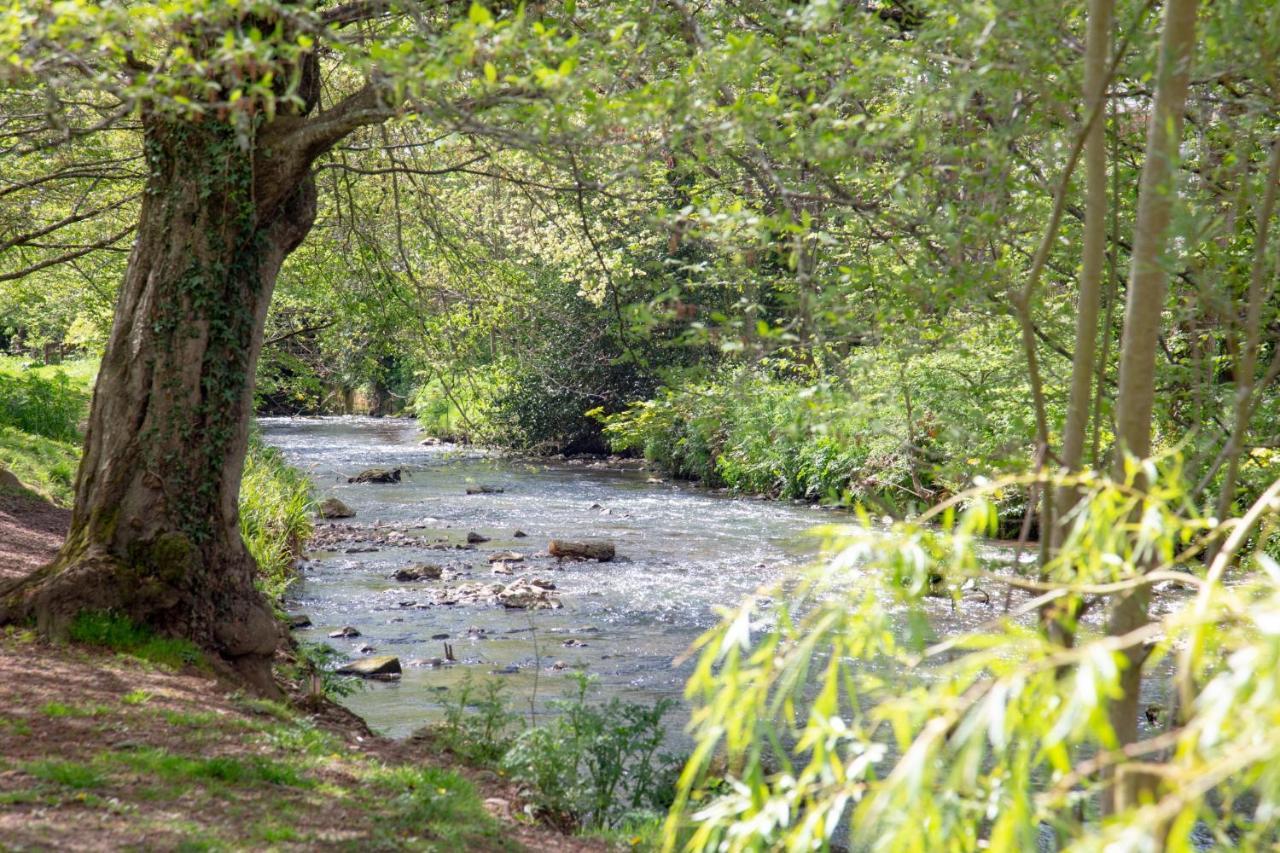 Orchard * Sidmouth